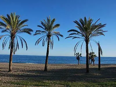 아파트 Las Olas 14